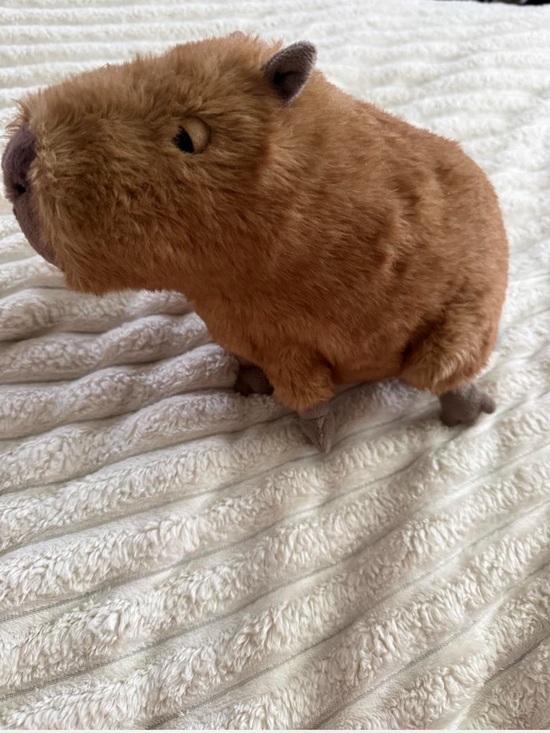Jellycat Other - Retired Jellycat Clyde Capybara